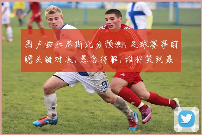图卢兹和尼斯比分预测,足球赛事前瞻关键对决,悬念待解,谁将笑到最后